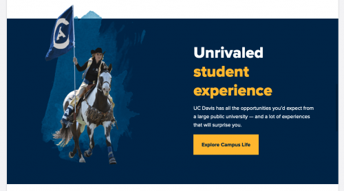 Full Width Custom Block Example